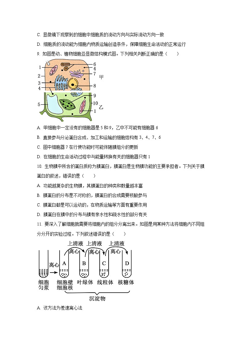 甘肃省多校2025-2026学年高一上学期第一次月考生物试卷（学生版）第3页