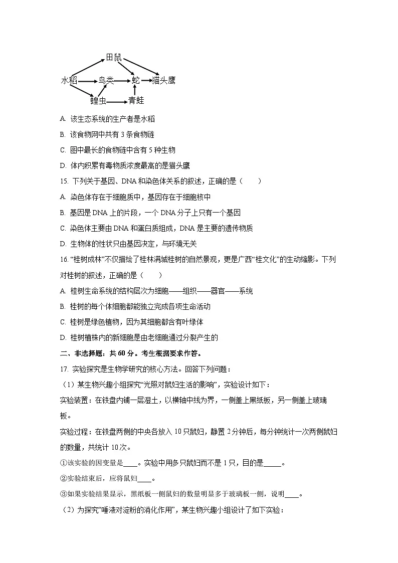 广西部分学校2025-2026学年高一上学期开学质量检测生物试卷（学生版）第3页