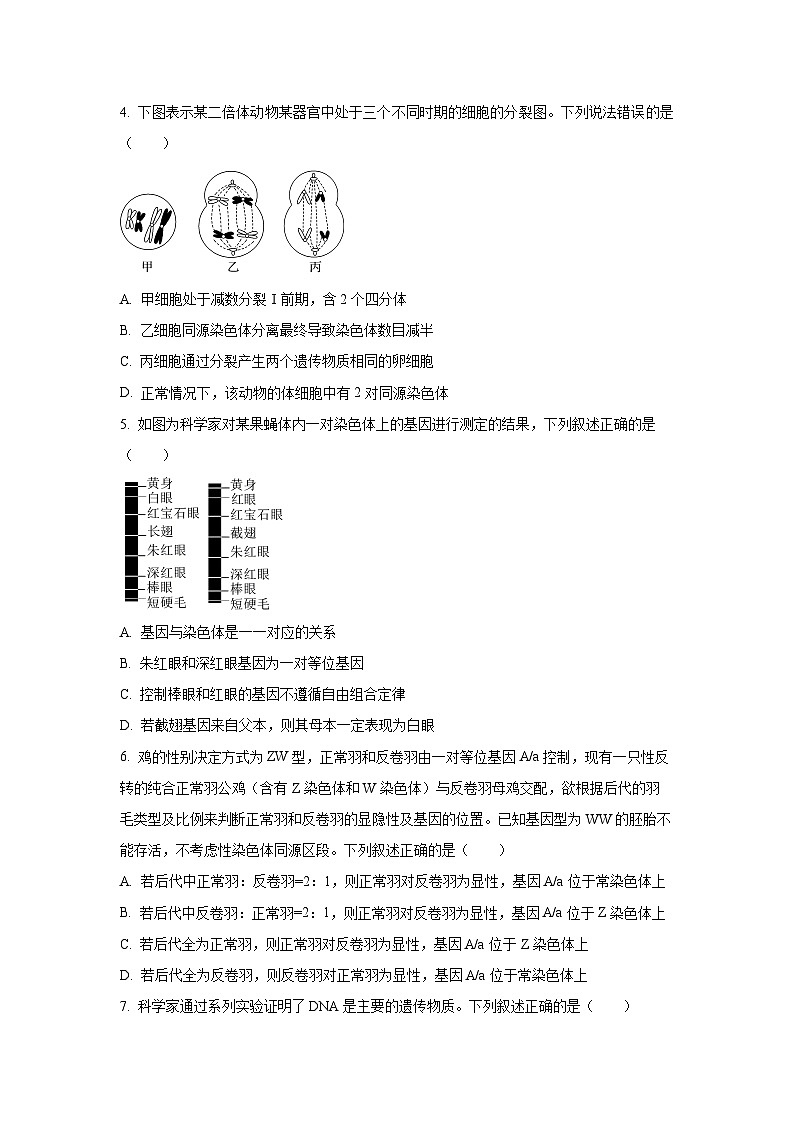 河南省百师联盟2024-2025学年高一下学期5月联考学（A卷）生物试卷（学生版）第2页