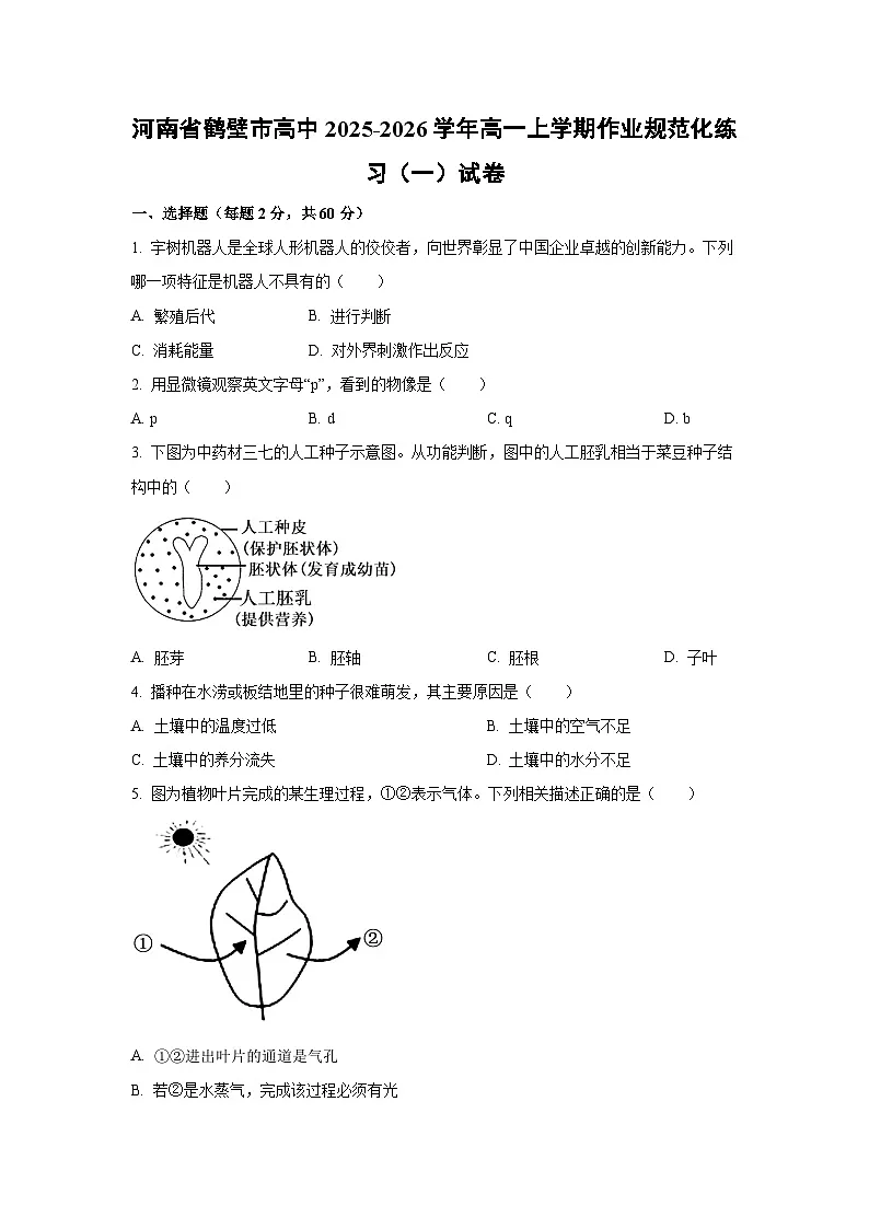 河南省鹤壁市高中2025-2026学年高一上学期作业规范化练习（一）生物试卷（学生版）第1页