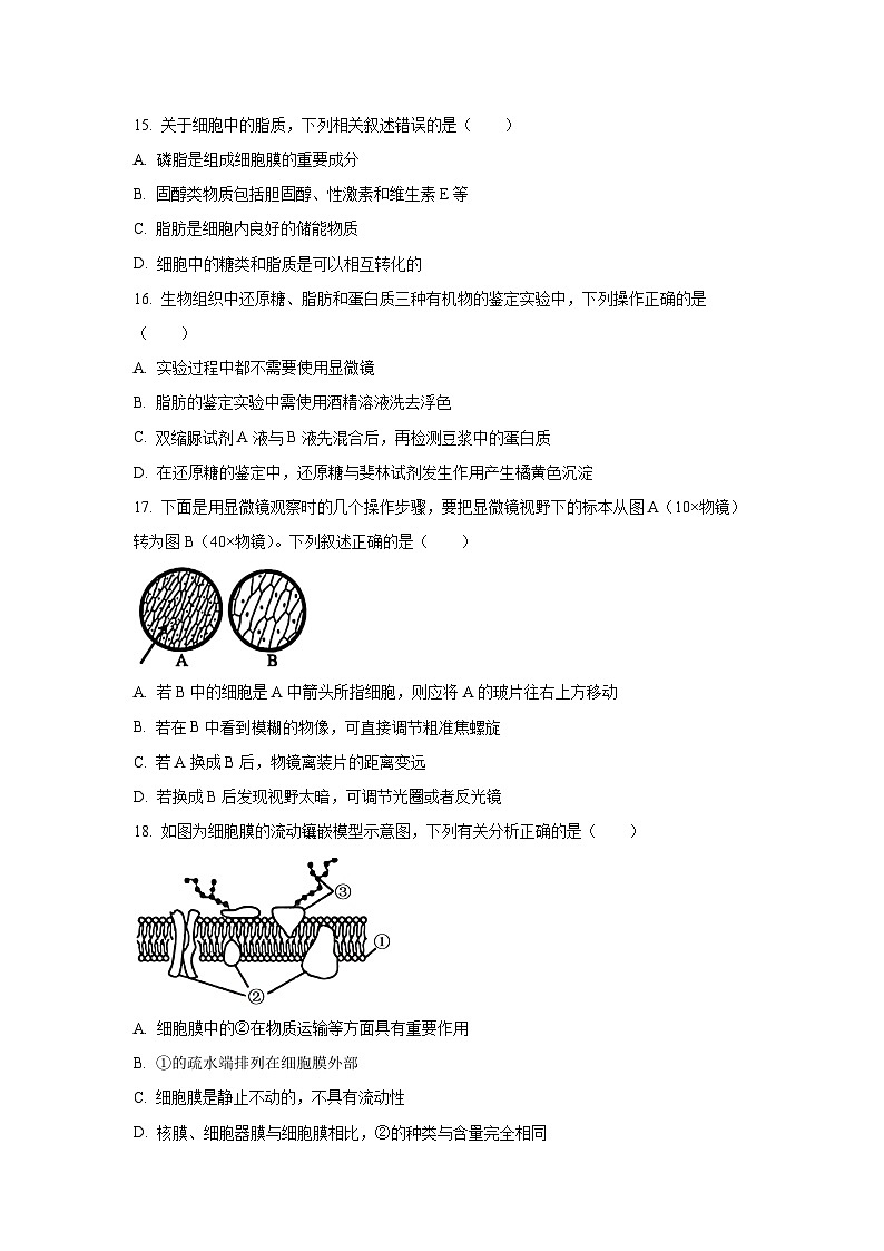 江苏省镇江市实验高级中学、茅以升中学等校2025-2026学年高一上学期10月考试生物试卷（学生版）第3页