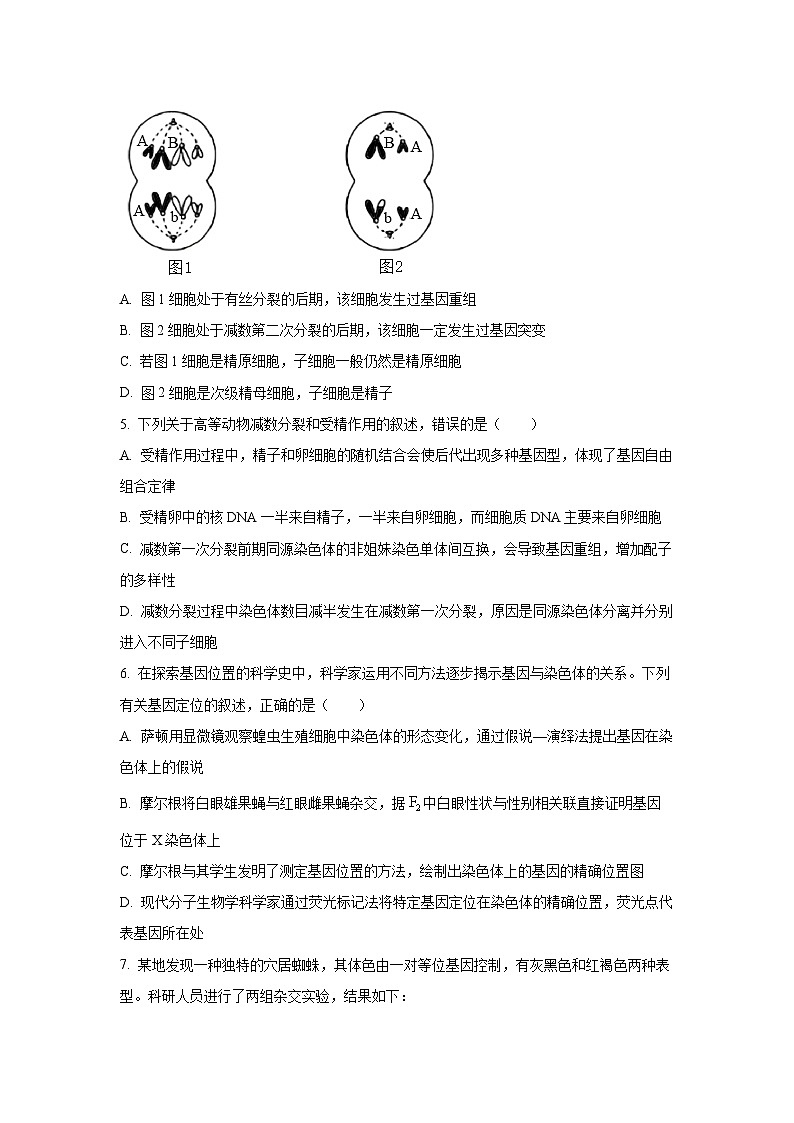 甘肃省临夏州2024-2025学年高一下学期期末质量监测生物试卷（学生版）第2页