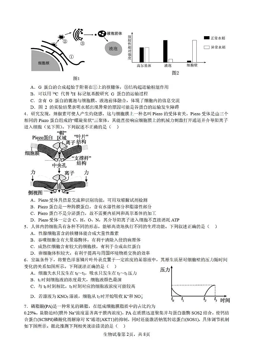 合肥市普通高中六校联盟2025年秋季学期期中考试生物第2页