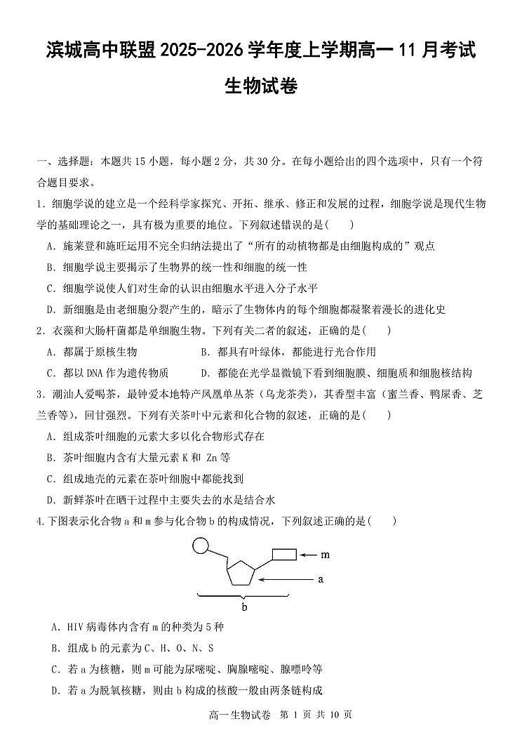 辽宁省大连市滨城高中联盟2025-2025学年上学期高一生物学期中考试试卷（含答案及解析）第1页