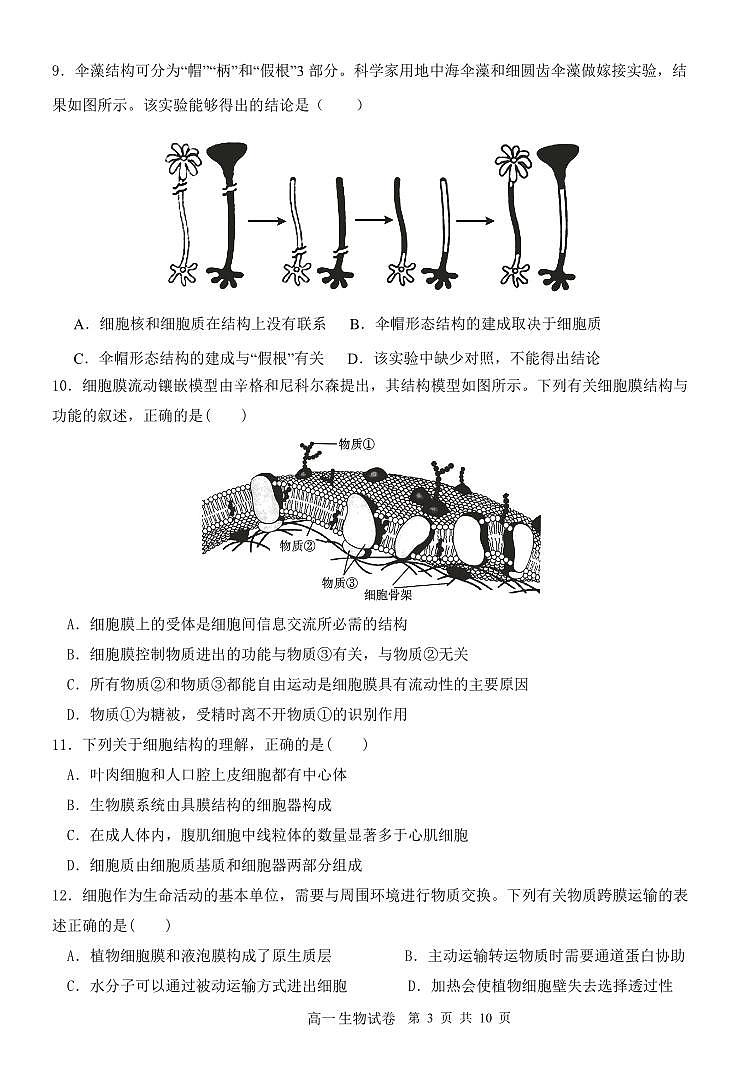 辽宁省大连市滨城高中联盟2025-2025学年上学期高一生物学期中考试试卷（含答案及解析）第3页