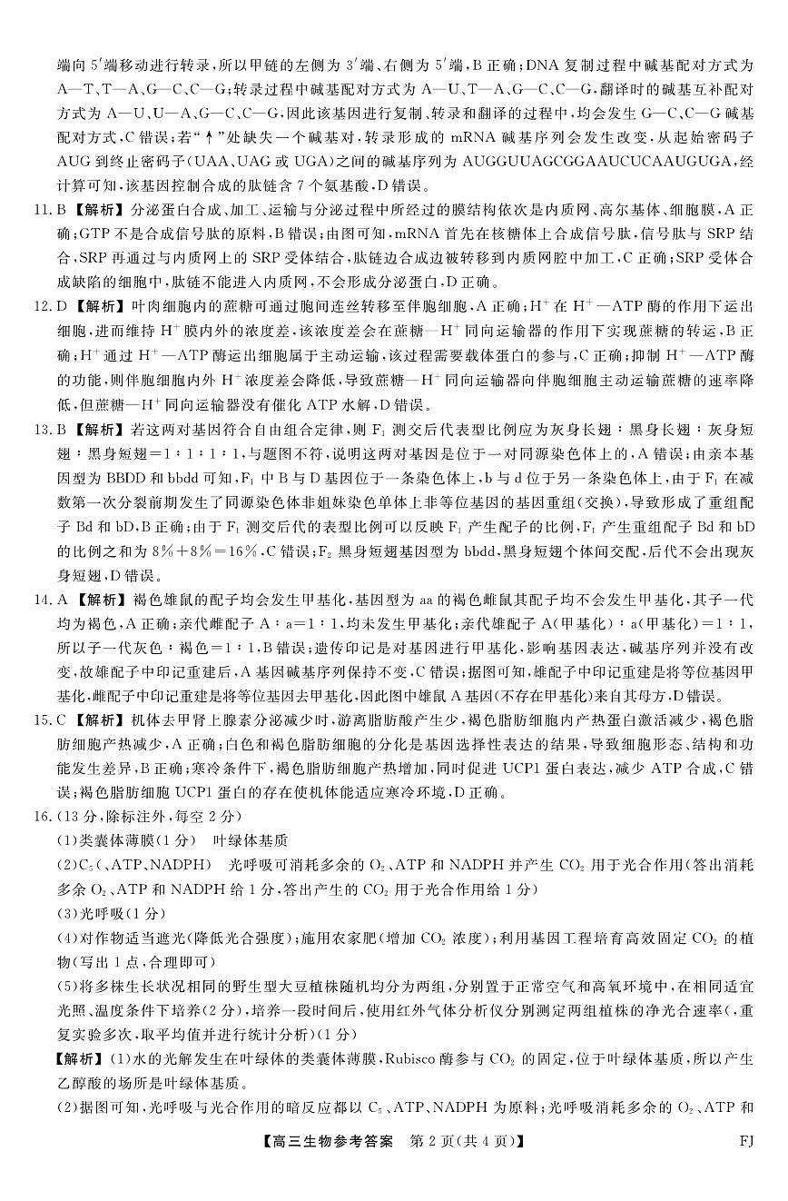 【生物答案】福建高三2025-2026学年百校11月联考第2页