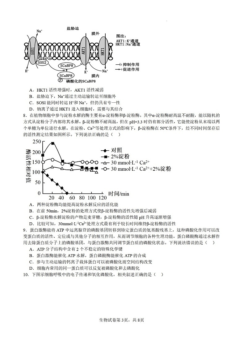 安徽省合肥市六校联考2025年秋季高三上学期期中考试生物试卷第3页