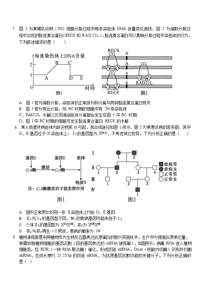 安徽省合肥一中2025-2026学年高三上学期期中考试生物试卷第3页