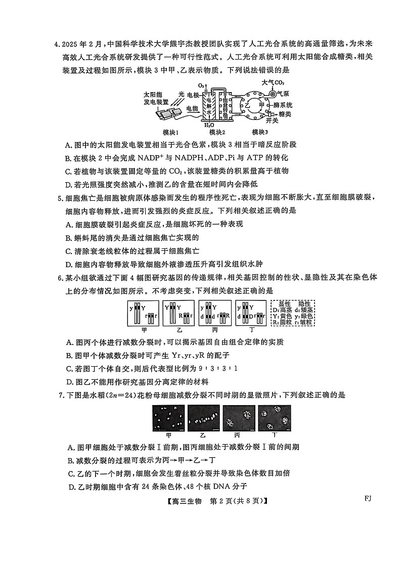 福建省百校联考2025-2026学年高三上学期11月考试生物试卷第2页