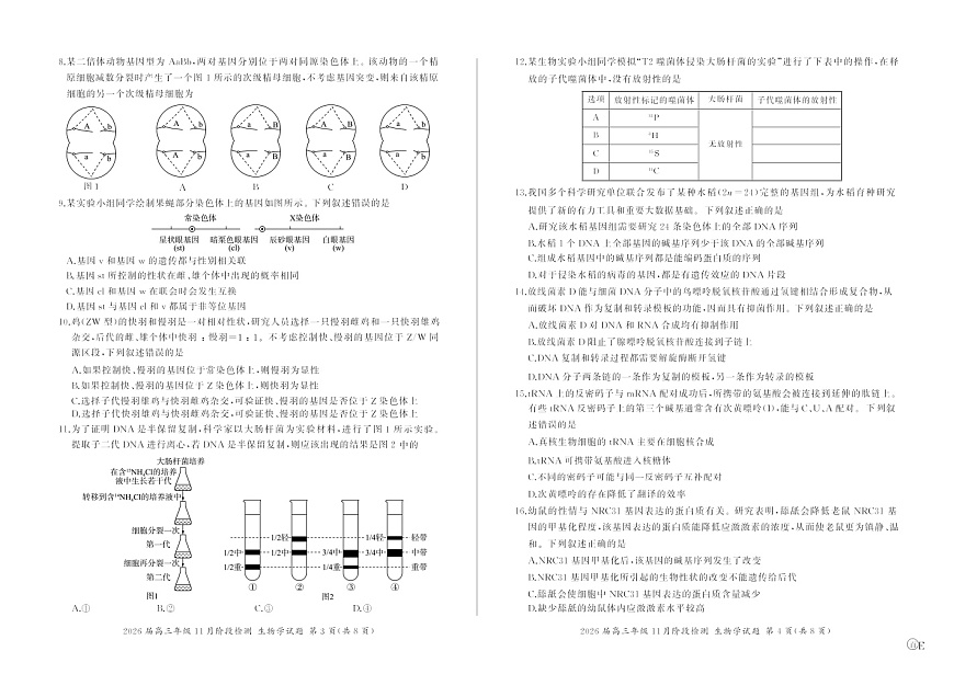 百师联盟2025-2026学年高三上学期11月考试生物试卷第2页