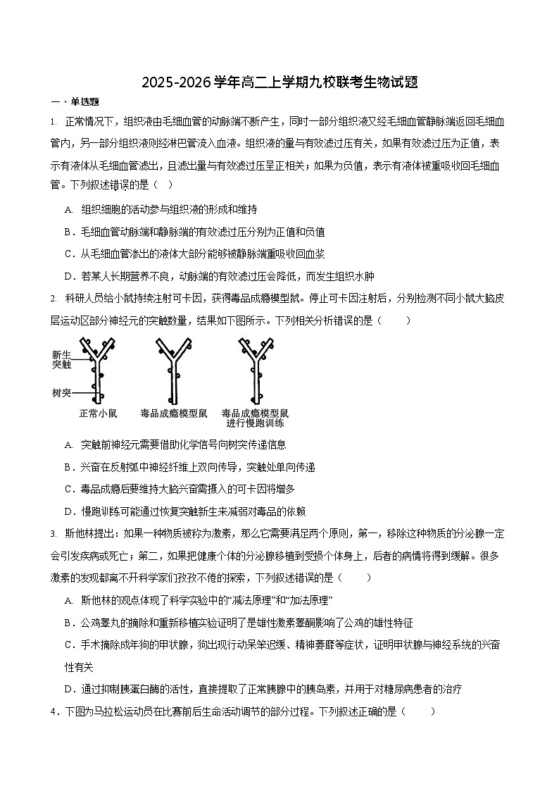 山东省德州市九校联考2025-2026学年高二上学期11月期中考试生物试卷第1页