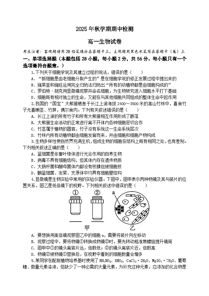 江苏省江阴长泾中学2025—2026学年高一上学期期中考试生物试题第1页