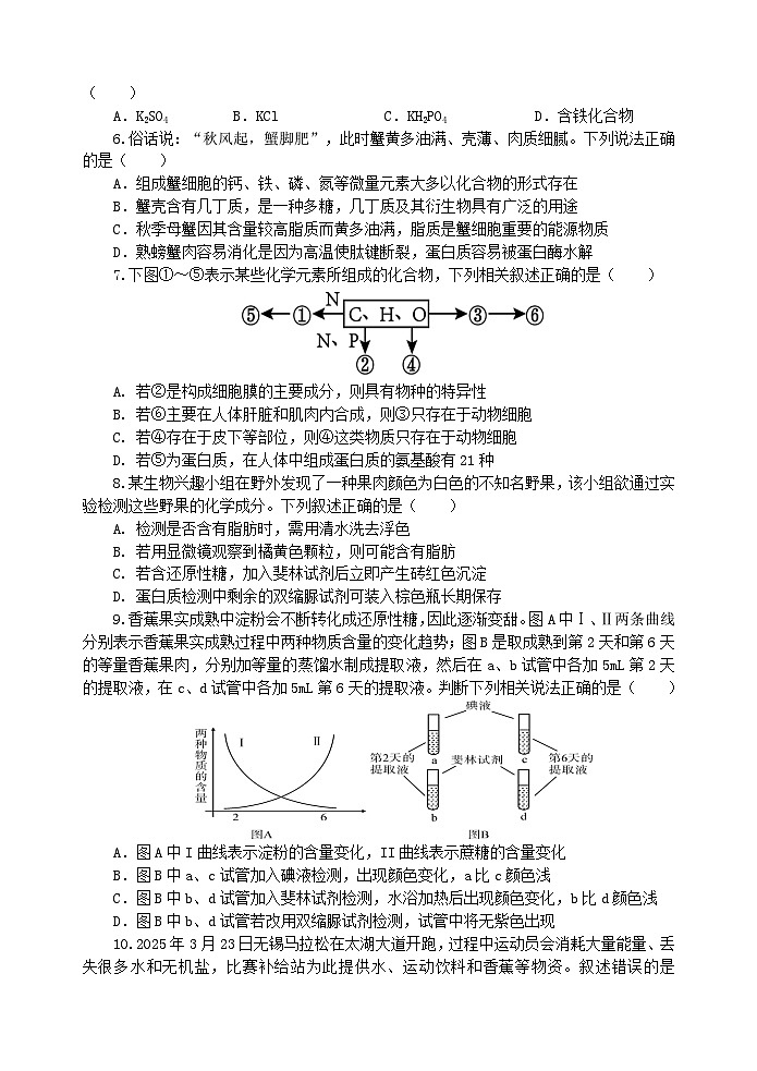 江苏省江阴长泾中学2025—2026学年高一上学期期中考试生物试题第2页
