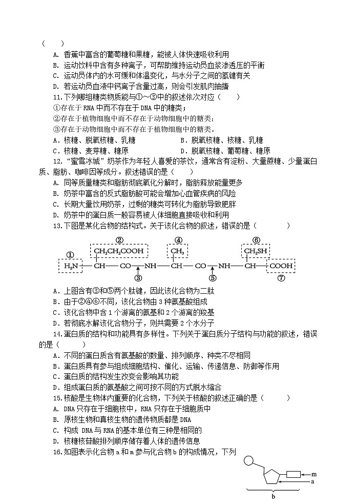 江苏省江阴长泾中学2025—2026学年高一上学期期中考试生物试题第3页