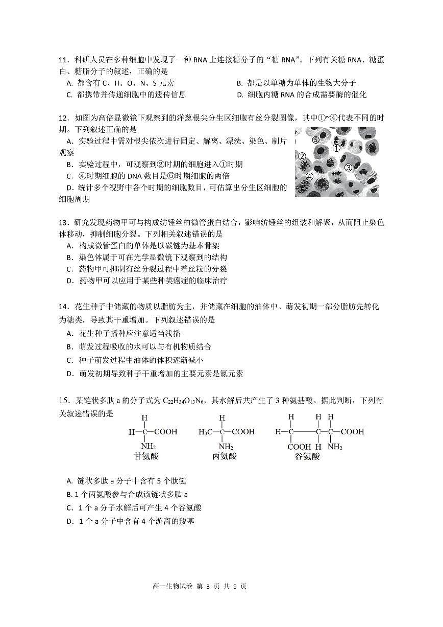 江苏省南京师范大学附属中学2024-2025学年高一上学期期末考试生物试卷第3页