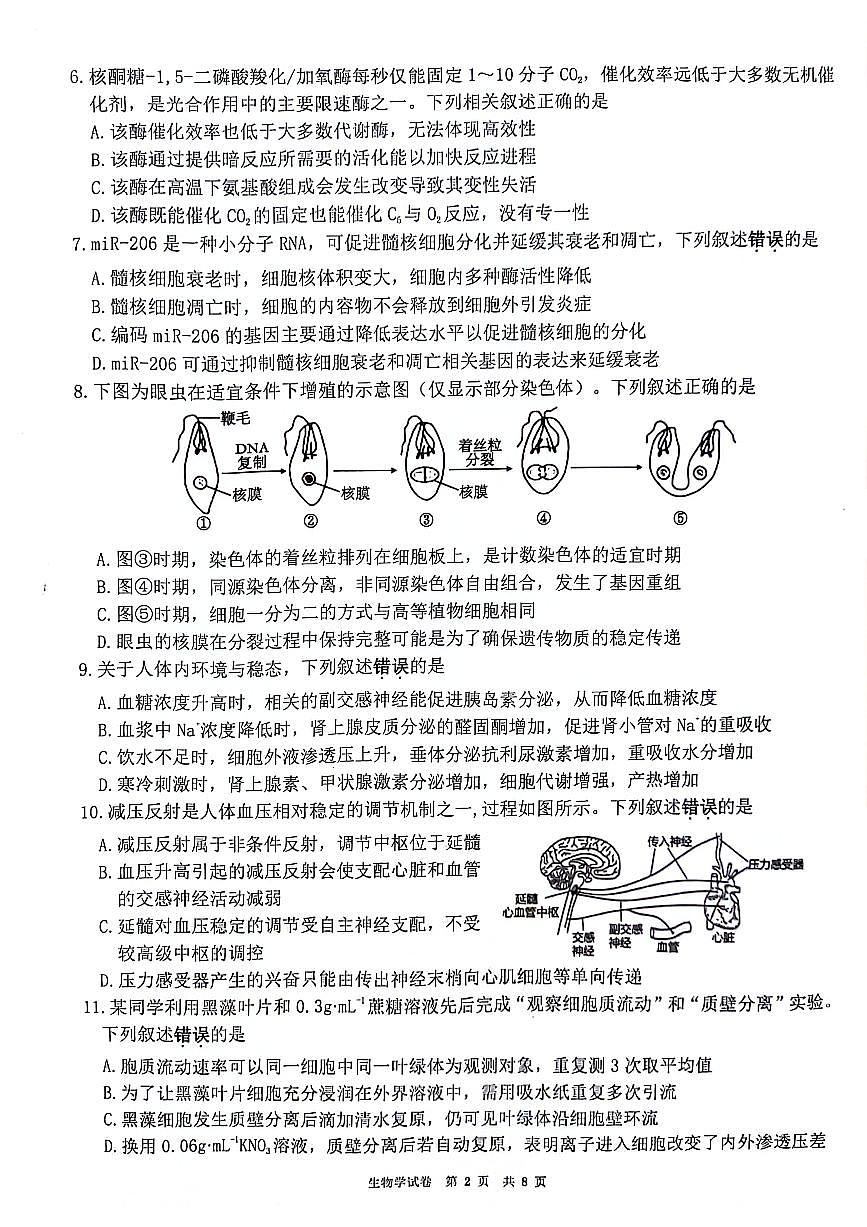 江苏省连云港市2025-2026学年高三上学期期中调研考试生物试题（含答案）第2页