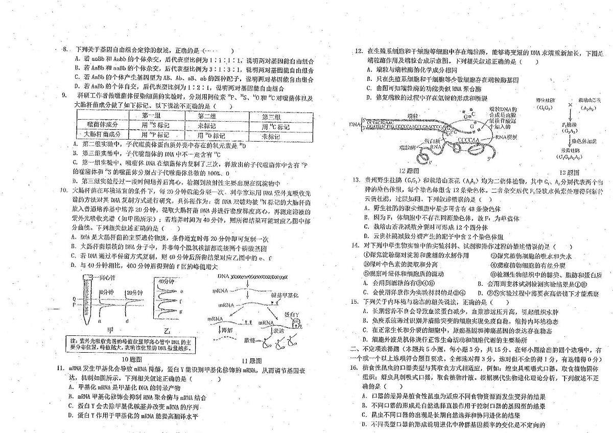吉林省延边朝鲜族自治州延吉市延边第二中学2025-2026学年高三上学期11月期中生物试题第2页