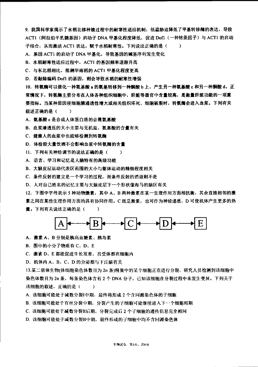 辽宁省沈阳市辽宁实验中学2025-2026学年高三上学期期中生物试卷第3页