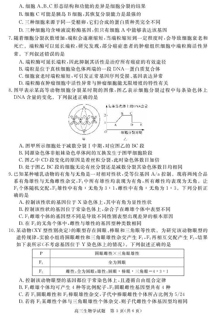 安徽省华师联盟2026届高三上学期11月质量检测生物试题+答案第3页