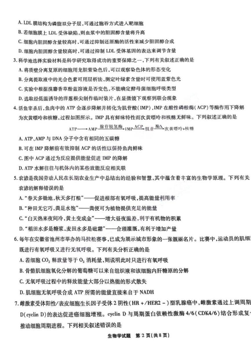 安徽省江淮十校2026届高三上学期11月第二次联考生物试题+答案第2页
