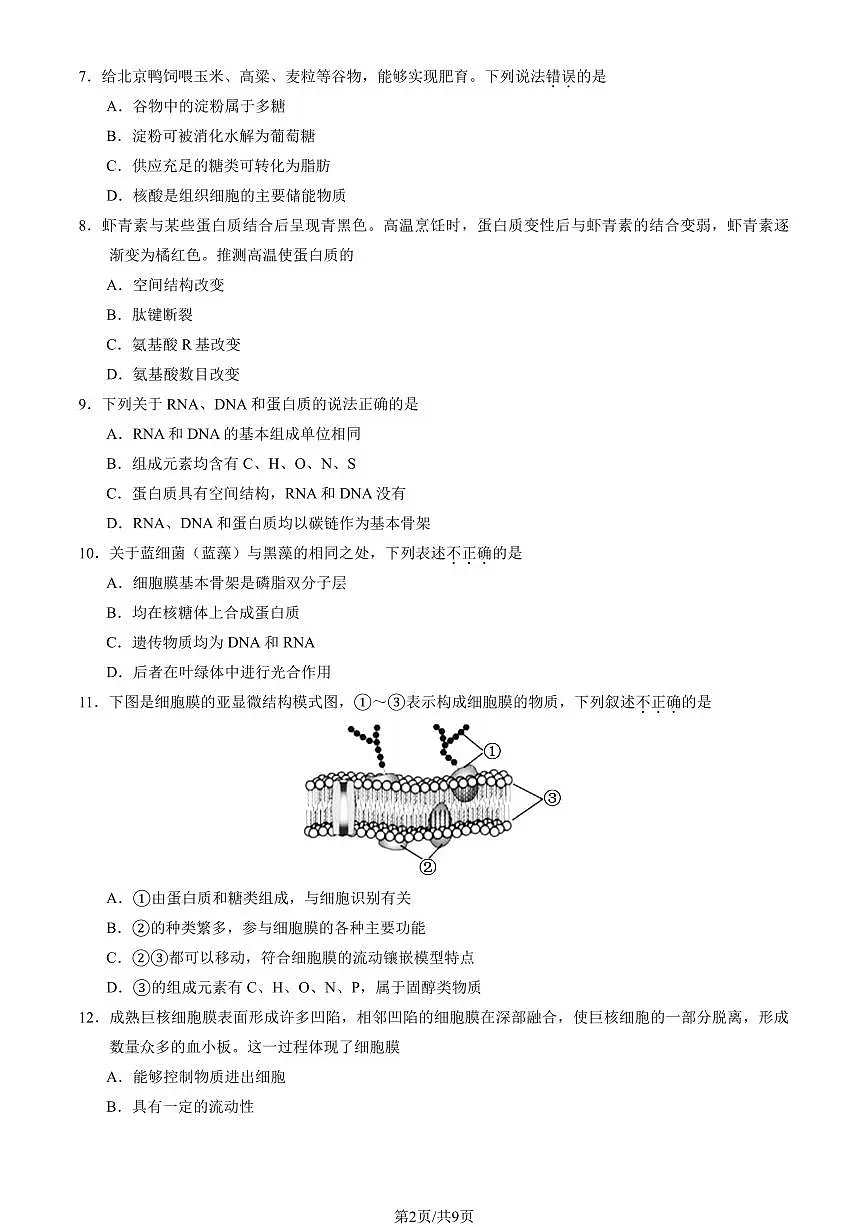 2025北京北大附中高一（上）期中生物试卷（教师版）第2页