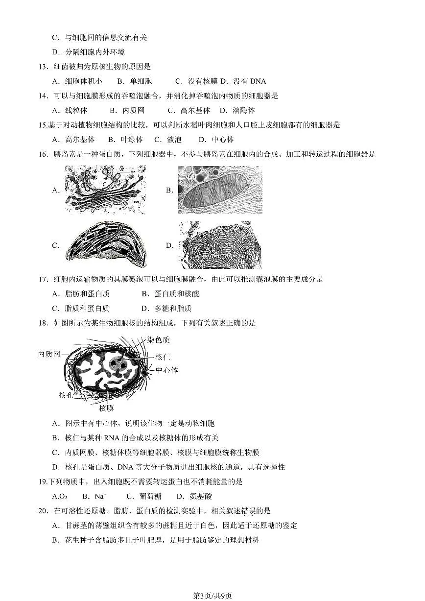 2025北京北大附中高一（上）期中生物试卷（教师版）第3页