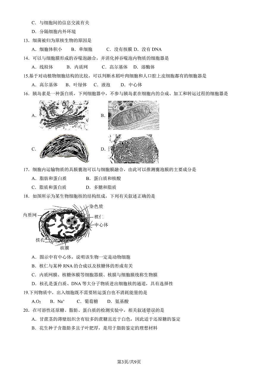 2025北京北大附中高一（上）期中生物试卷（教师版）第3页