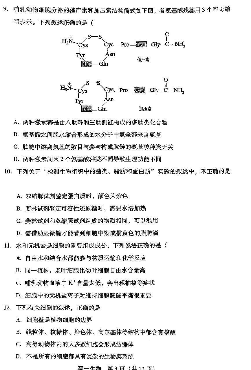 2025北京十二中高一（上）期中生物试卷第3页