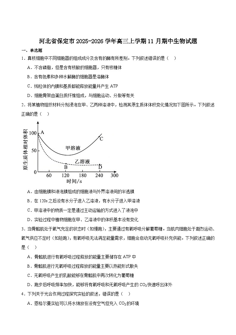 河北省保定市2026届高三上学期11月期中考试 生物 含答案第1页