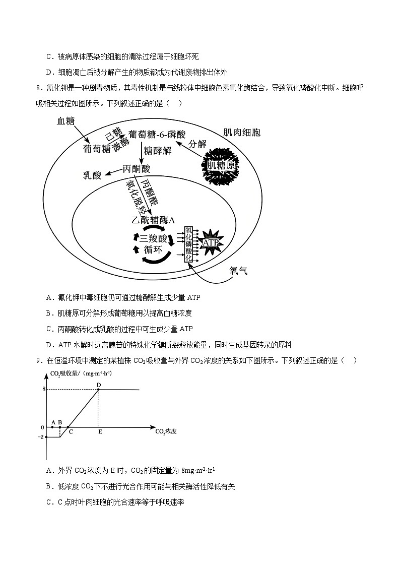 河北省保定市2026届高三上学期11月期中考试 生物 含答案第3页