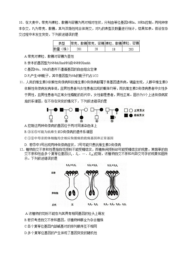 河南省南阳市九师联盟2026届高三上学期11月期中考试 生物 含解析第3页
