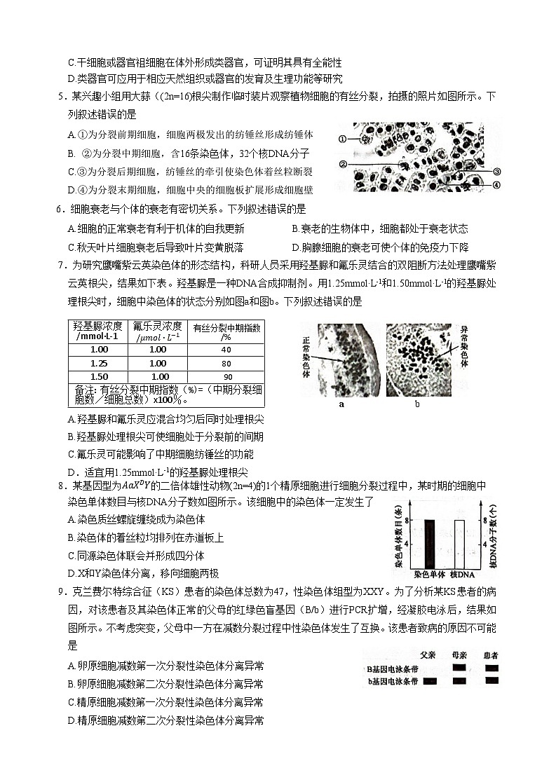 河南省南阳市九师联盟2026届高三上学期11月第三次质量检测（期中）生物试卷（含部分解析）第2页