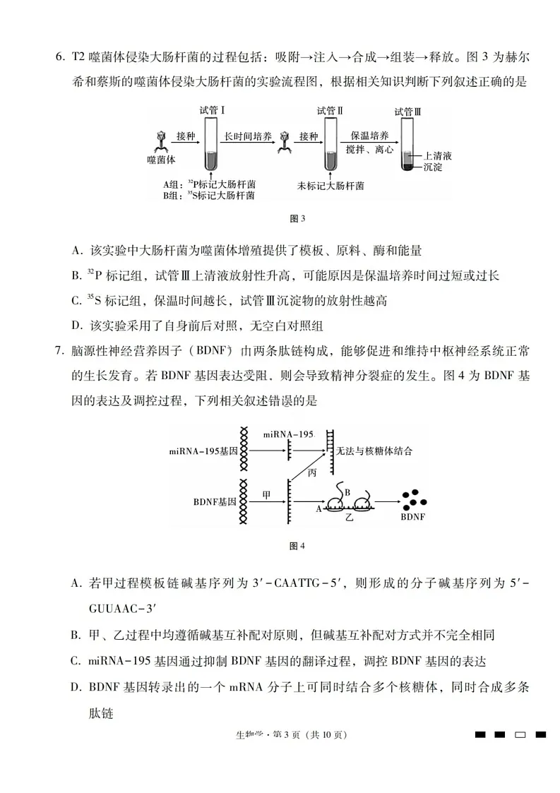 2026届云南省昭通市第一中学高三上学期高考备考联考卷生物试卷第3页