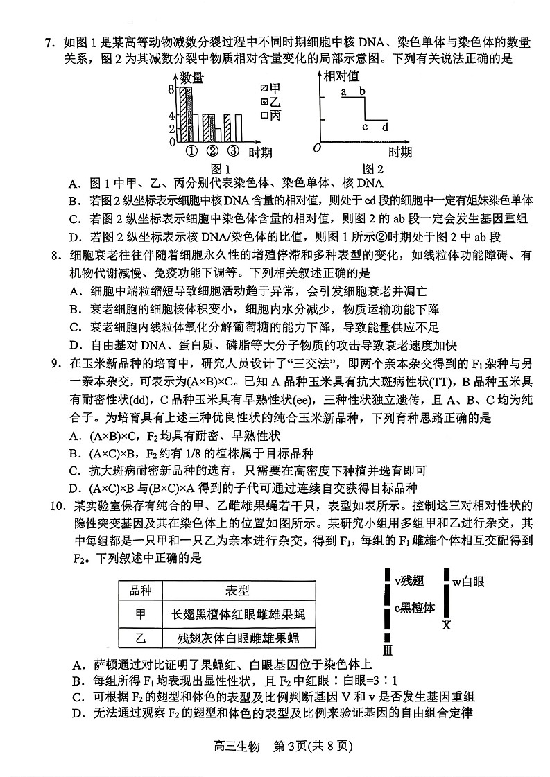 河南省南阳市2025-2026学年高三上学期期中考试生物试卷第3页