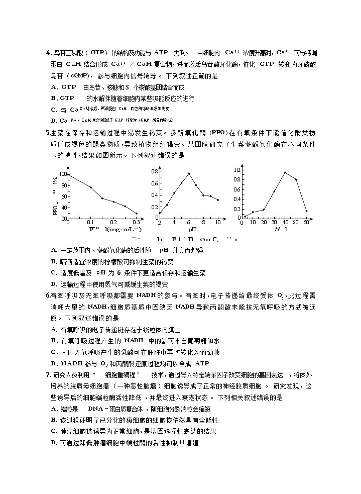 山东省临沂市2025-2026学年高三上学期11月期中考试生物试卷第2页