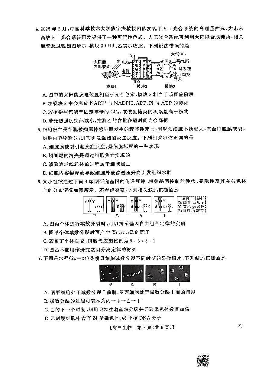 福建省百校联考2026届高三上学期11月考生物试题+答案第2页