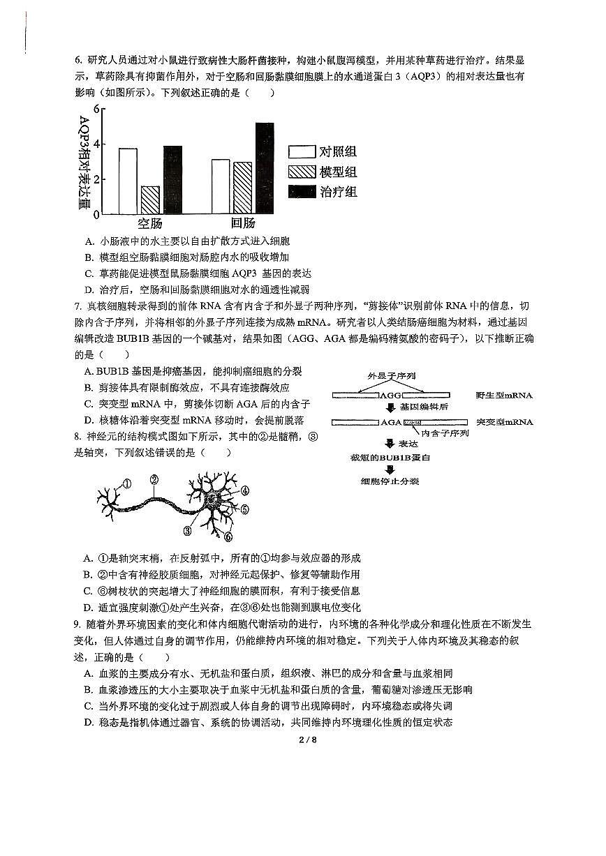 福建省厦门双十中学2026届高三上学期期中生物试题+答案第2页