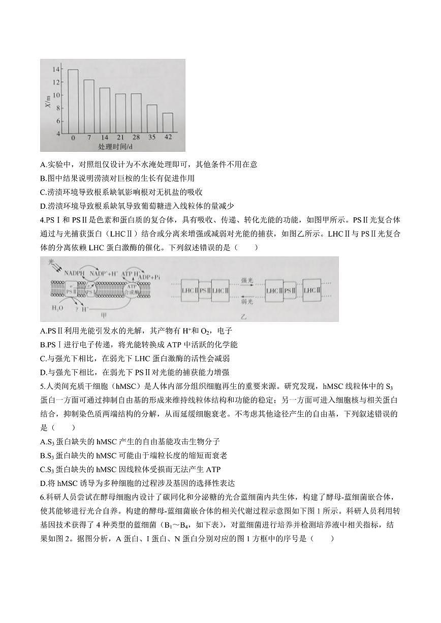 江西省赣州市十八县24校联考2026届高三上学期11月期中考生物试题+答案第2页