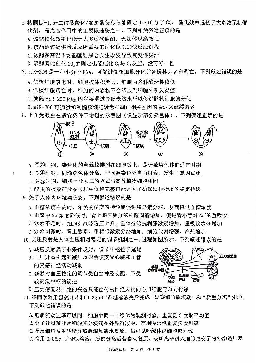 江苏省连云港市2026届高三上学期11月期中调研考生物试题+答案第2页