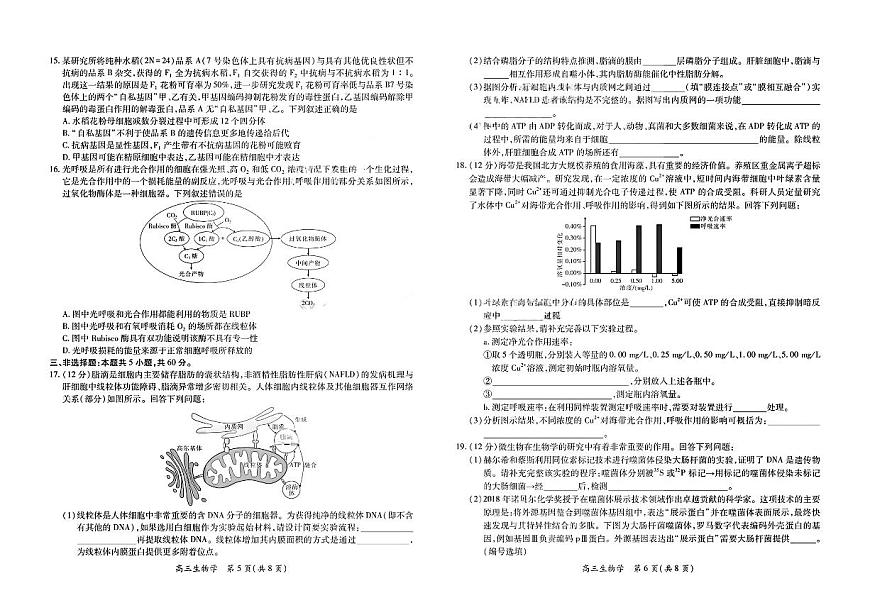 江西省上进稳派联考2026届高三上学期11月一轮阶段检测生物试题+答案第3页