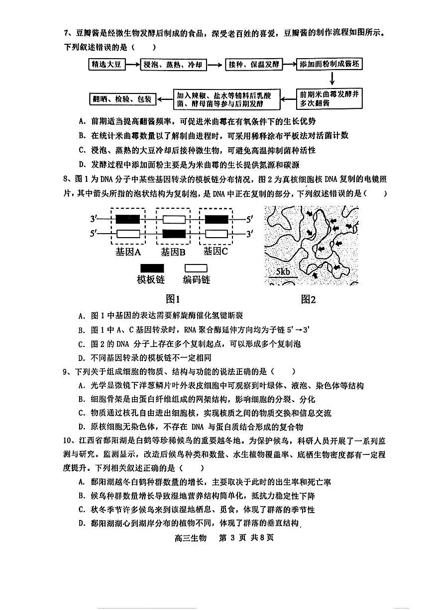 江西省景德镇市2026届高三上学期11月第一次质量检测生物试题+答案第3页
