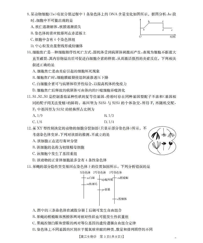 辽宁省葫芦岛市县金太阳2026届高三上学期11月协作校（一）生物试题+答案第3页