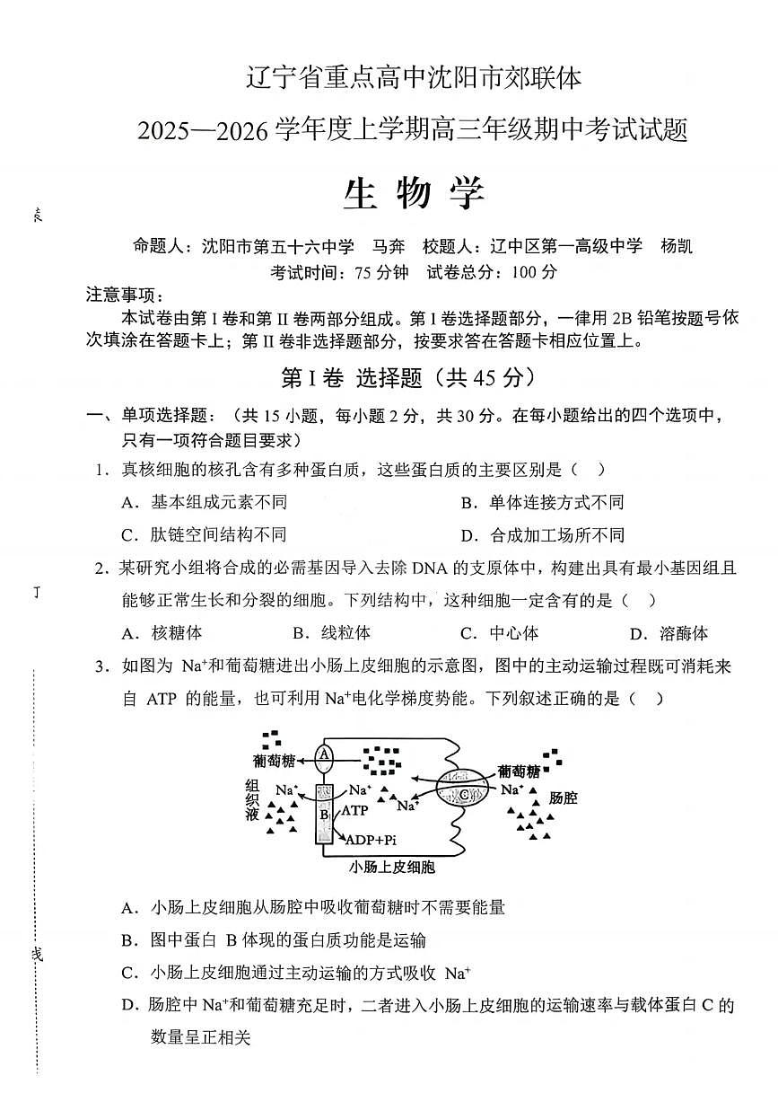 辽宁省重点高中沈阳市郊联体2026届高三上学期11月期中考生物试题+答案第1页