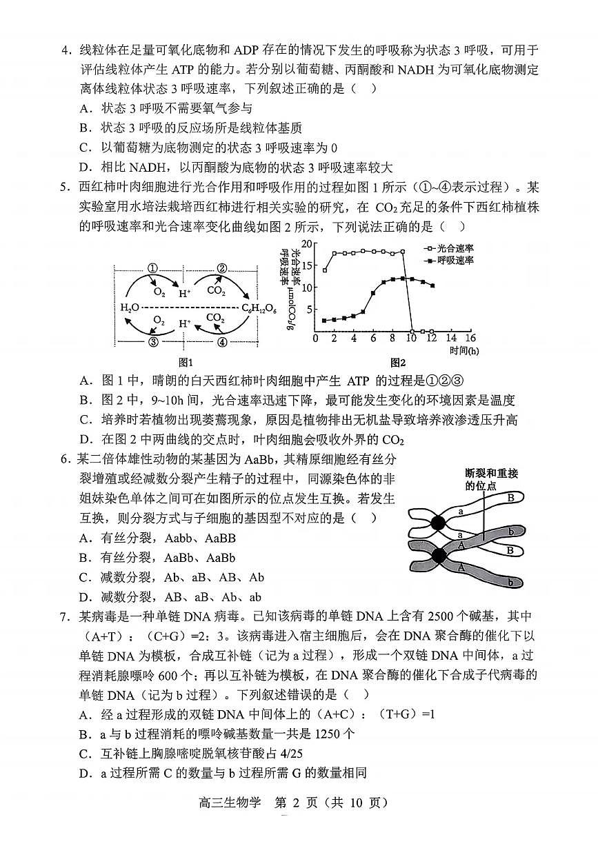 辽宁省重点高中沈阳市郊联体2026届高三上学期11月期中考生物试题+答案第2页