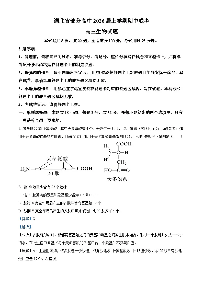 湖北省部分高中联考2026届高三上学期11月期中生物试题 Word版含解析第1页