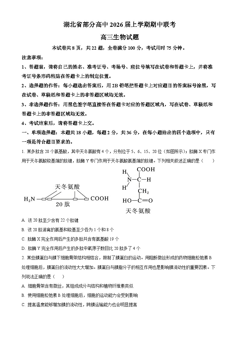 湖北省部分高中联考2026届高三上学期11月期中生物试题（原卷版）第1页