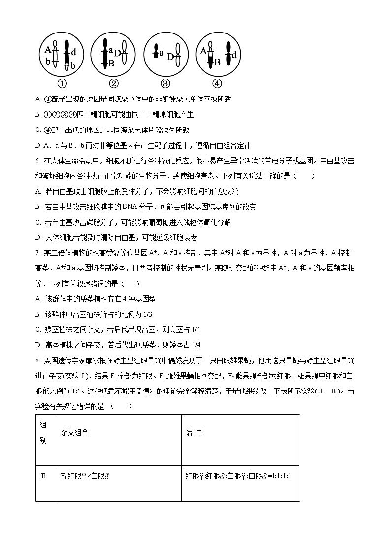 湖北省部分高中联考2026届高三上学期11月期中生物试题（原卷版）第3页