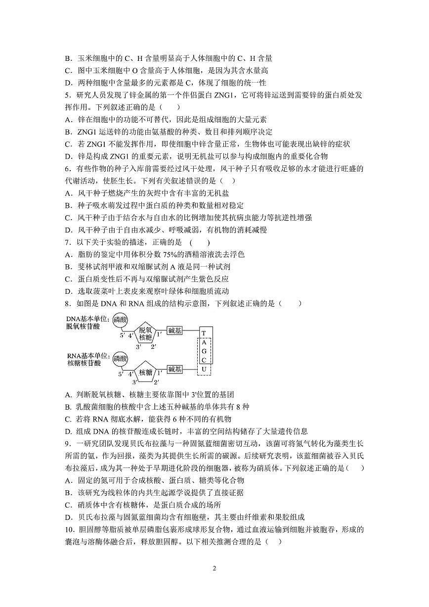 湖北省荆州中学2025-2026学年高一上学期期中考试生物试卷 PDF第2页