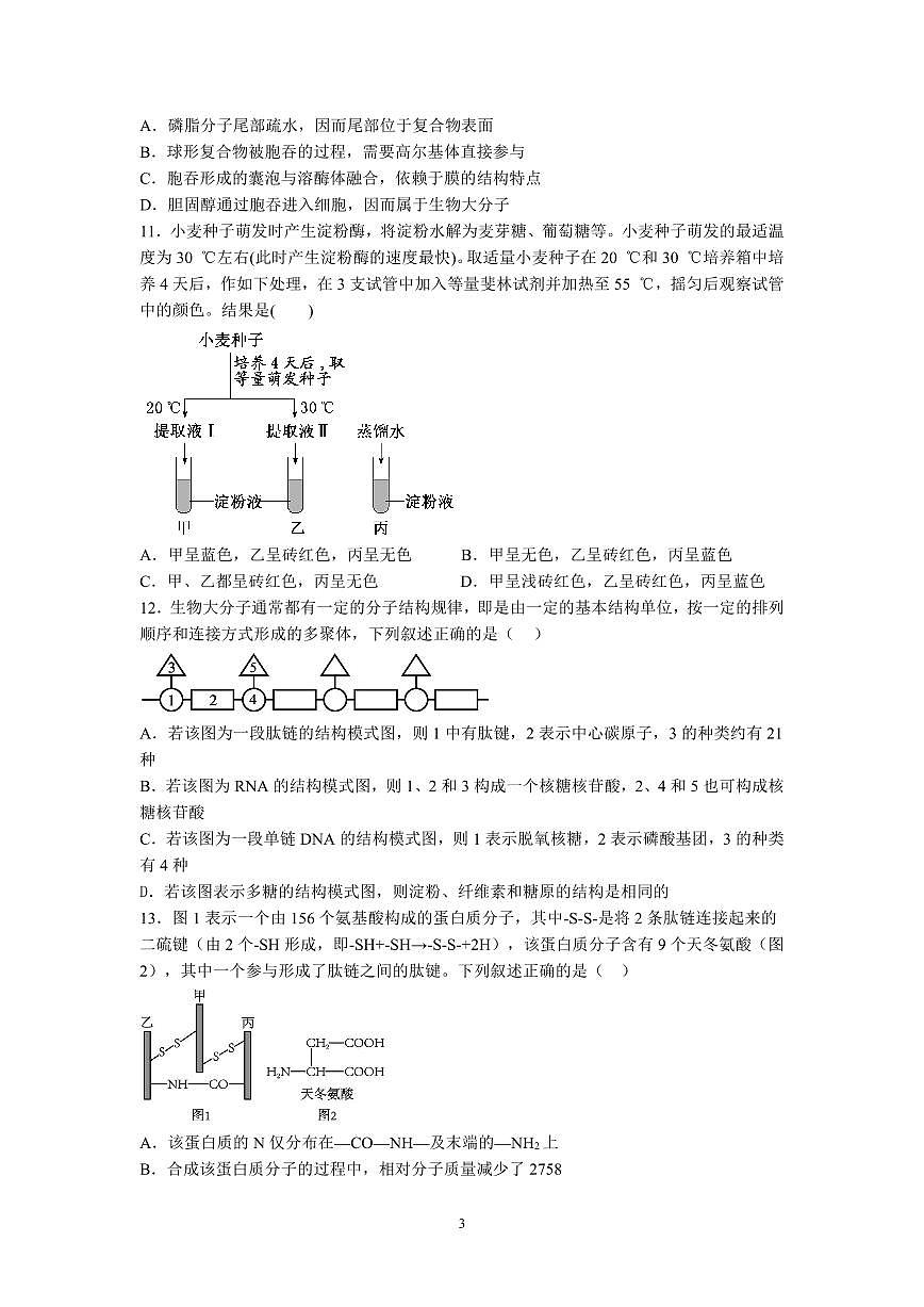 湖北省荆州中学2025-2026学年高一上学期期中考试生物试卷 PDF第3页
