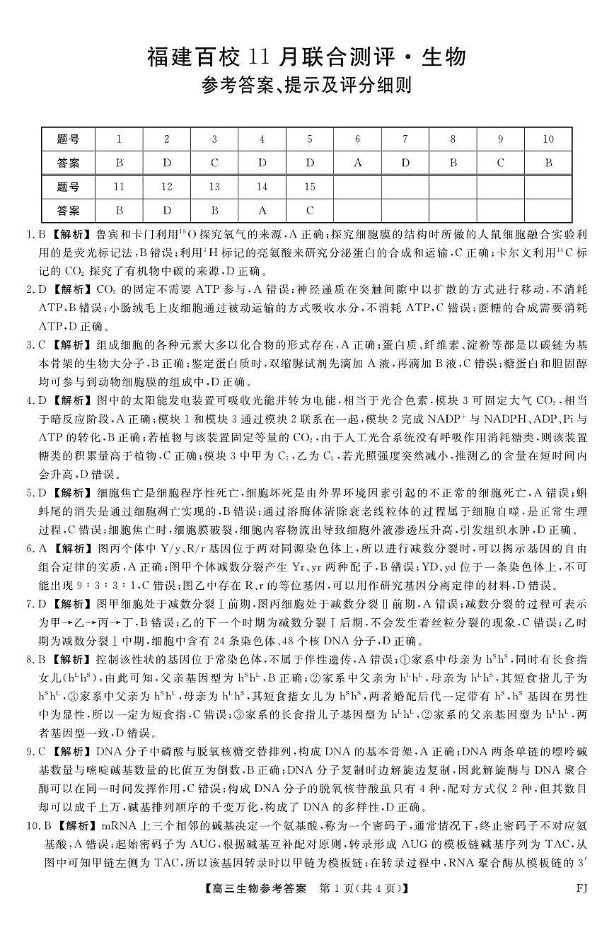 【生物答案】福建高三2025-2026学年百校11月联考第1页